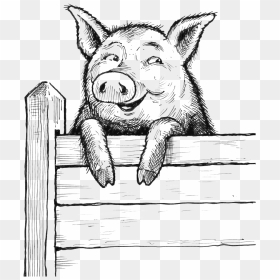 Saxbys Pig On Fence - Pig On Fence Drawing, HD Png Download - farm fence png