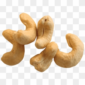 Cashew Background Nut Transparent - Cashews No Background, HD Png Download - cashew png