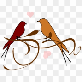 Free Png Download Love Birds Png Images Background - Birds Nest Clipart Black And White, Transparent Png - love birds png