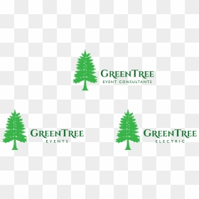 Illustration, HD Png Download - tree from above png