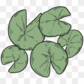 Lily Pads Clipart, HD Png Download - lilly pad png