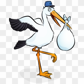 Transparent Baby Stork Clipart, HD Png Download - baby lion png