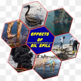 Oil Spill - Oil Spill Gulf Of Mexico, HD Png Download - spill png