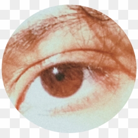 #eyes #tumblr #png #brown - Close-up, Transparent Png - brown eyes png