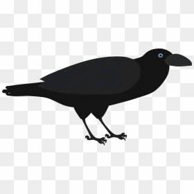 Fish Crow, HD Png Download - flying crow png