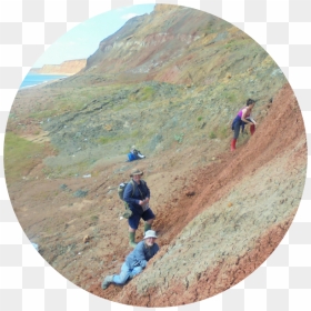 Dog Hiking, HD Png Download - dinosaur bones png