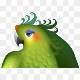 Love Birds , Png Download - Lovebird, Transparent Png - love birds png