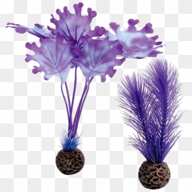 Biorb Purple Kelp , Png Download - Algues Violettes, Transparent Png - kelp png