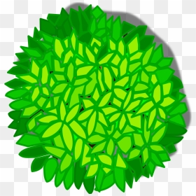 Tree Top View Clipart, HD Png Download - trees plan png