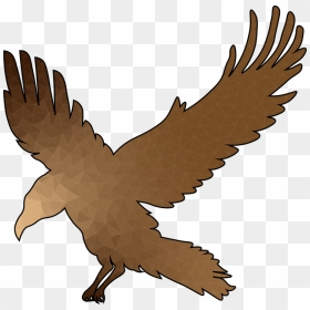 Common Raven, HD Png Download - flying crow png