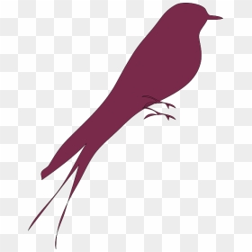 Clip Art Lovebird Portable Network Graphics Image - Love Bird Silhouette Vector, HD Png Download - love birds png