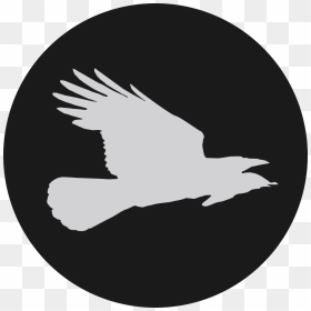 Flying Crow Press - Twitter Logo Black Circle, HD Png Download - flying crow png
