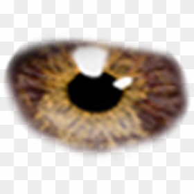 Taukeer Editz Eye Png, Transparent Png - brown eyes png