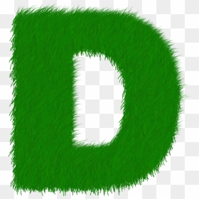 D Letter Png Photo - Grass Letter Y Png, Transparent Png - tree from above png