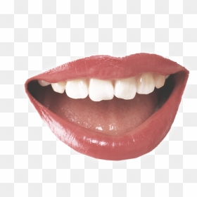 Smile Mouth Png, Transparent Png - talking mouth png