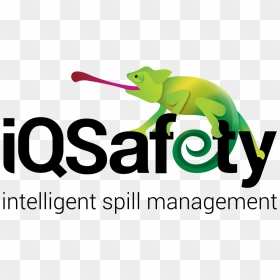 Iqsafety - Cartoon, HD Png Download - spill png