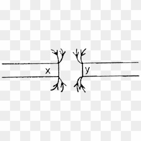 Illustration, HD Png Download - tree from above png