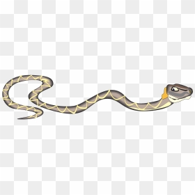 Io Snake Png - Slither Clipart, Transparent Png - snake.png