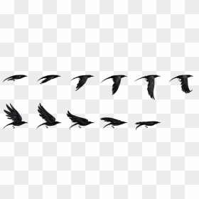 Vaux S Swift, HD Png Download - flying crow png