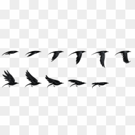 Vaux S Swift, HD Png Download - flying crow png