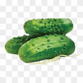Cucumber, HD Png Download - cucumber slice png