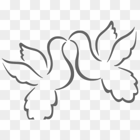 Png Free Download Images Of Love Birds, Transparent Png - love birds png