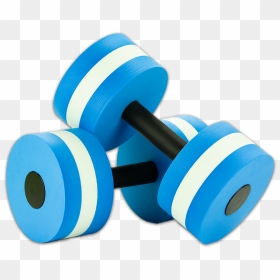 Aquatic Dumbbells Water Weights - Weights, HD Png Download - dumbbells png