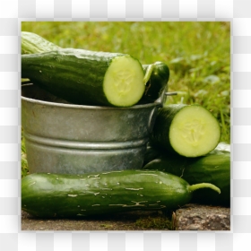 Transparent Pepino Png - Cucumber 4k, Png Download - cucumber slice png