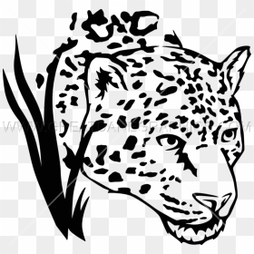Clipart Transparent Stock Drawing At Getdrawings Com - Jaguar Head Drawing, HD Png Download - black jaguar png