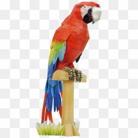 Parrot Clipart Hyacinth Macaw - Guacamayo Papercraft, HD Png Download - macaw png
