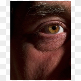 Dry Eyes - Macaque, HD Png Download - brown eyes png