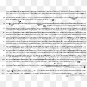 Document, HD Png Download - terminator face png