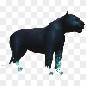 Illustration , Png Download - Bear, Transparent Png - black jaguar png