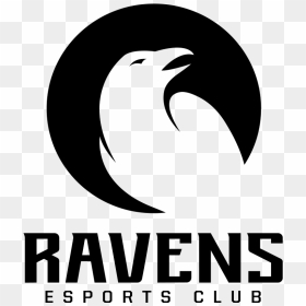 Ravens Esports Clublogo Square - Graphic Design, HD Png Download - ravens png