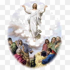 How Reformed Theology Attacks The Ascension Of Christ - Ascension Of Jesus Png, Transparent Png - christ png