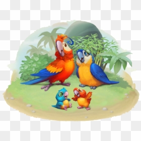 Macaw , Png Download - Parrot Game Art, Transparent Png - macaw png