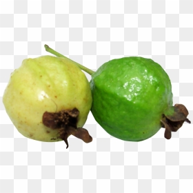 Guava Fruit Guava Clipart, HD Png Download - guava png