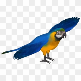 Blue And Gold Macaw - Zoo Tycoon 2 Macaw, HD Png Download - macaw png