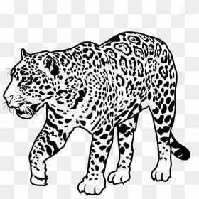 Jaguar Walking Transparent Image - Jaguar Coloring Pages, HD Png Download - black jaguar png