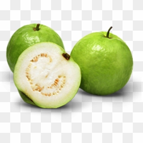 Indian Guava , Png Download - Allahabad Safeda Variety Of Guava, Transparent Png - guava png