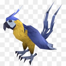 Macaw, HD Png Download - macaw png