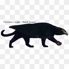 Mongoose, HD Png Download - black jaguar png