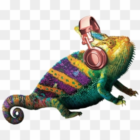 Common Chameleon, HD Png Download - inside out characters png
