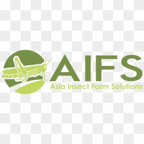 Aifs - Graphic Design, HD Png Download - cricket bug png