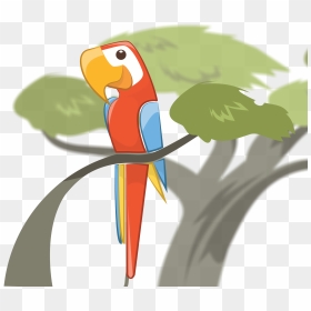 Macaw Software Logo - Software, HD Png Download - macaw png