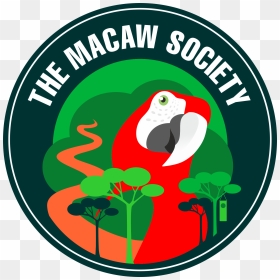 The Macaw Society, HD Png Download - macaw png