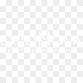 Exponova Logo Black And White - Vala, HD Png Download - white twitter icon png