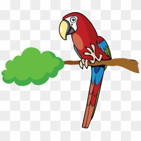 Description For Macaw - Papagayo Animado Png, Transparent Png - macaw png