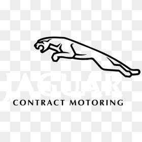 Jaguar Car Logo Png, Transparent Png - black jaguar png