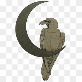 Raven"s Moon White - Raven Drawing Moon, HD Png Download - ravens png